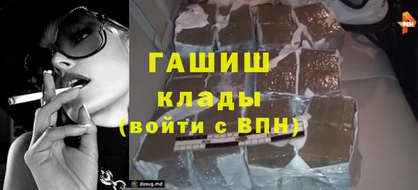 хмурый Абаза