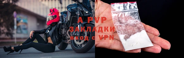 хмурый Абаза