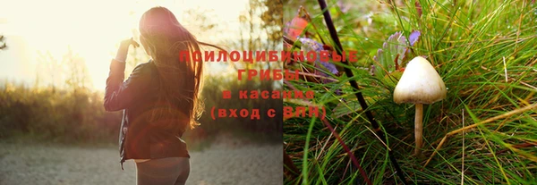 амф Алексин