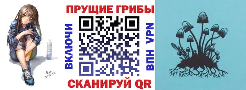 Галлюциногенные грибы MAGIC MUSHROOMS Краснокамск