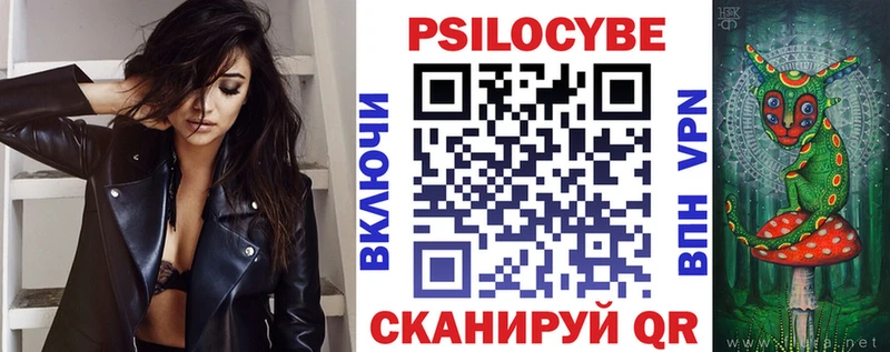 Псилоцибиновые грибы Psilocybe Краснокамск