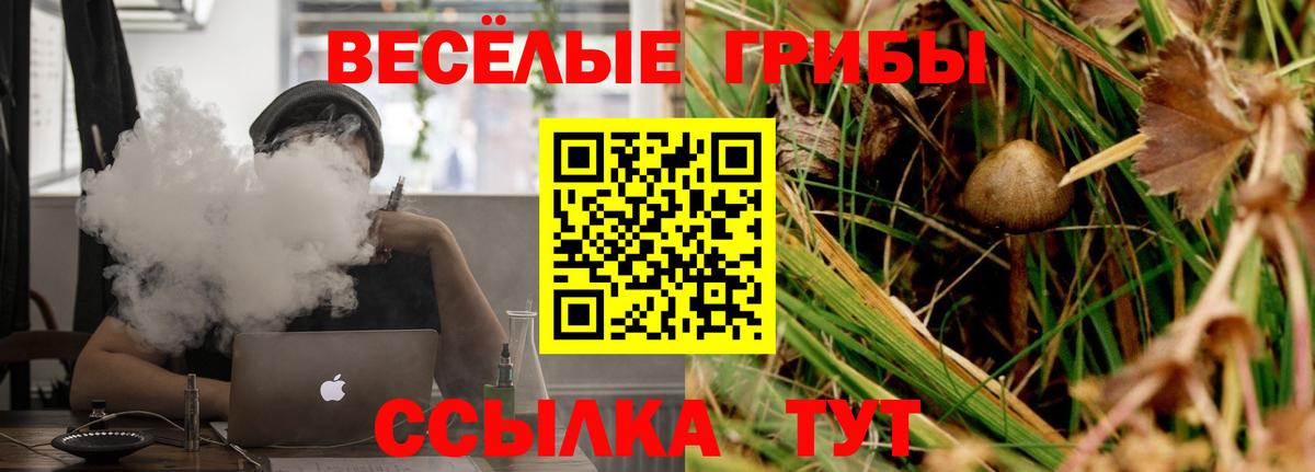 Псилоцибиновые грибы ЛСД Краснокамск